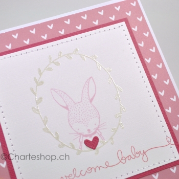 Welcome baby rosa mit Hase